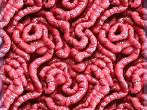 Anatomy Seamless Texture CG Textures