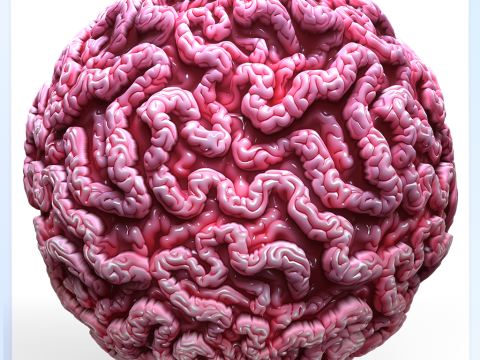 Anatomy Seamless Texture CG Текстуры
