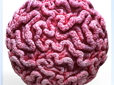 Anatomy Seamless Texture CG Textures