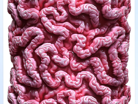Anatomy Seamless Texture CG Textures