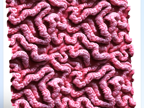 Anatomy Seamless Texture CG Текстуры