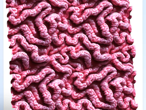 Anatomy Seamless Texture CG Textures
