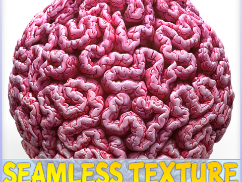 Anatomy Seamless Texture CG Textures