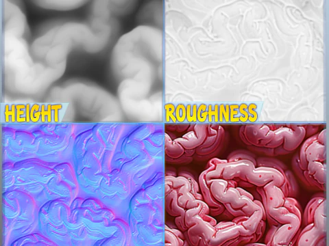Anatomia Bezszwowa Tekstura CG Tekstury