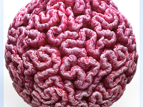 Anatomy Seamless Texture CG 纹理