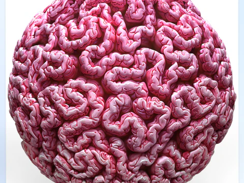 Anatomia Bezszwowa Tekstura CG Tekstury