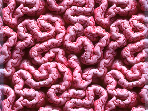 Anatomy Seamless Texture CG 纹理