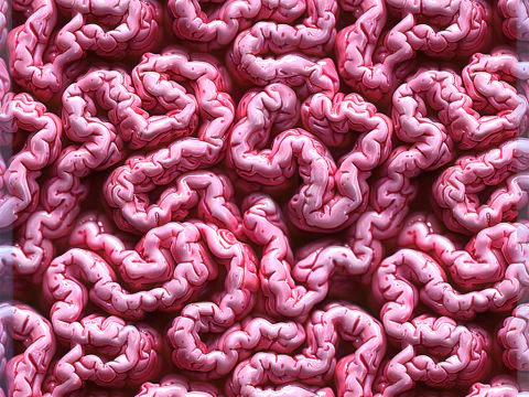 Anatomia Bezszwowa Tekstura CG Tekstury