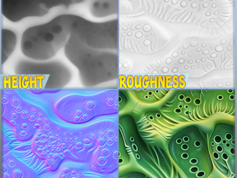 Anatomy Seamless Texture CG Textures