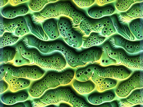 Anatomy Seamless Texture CG Textures