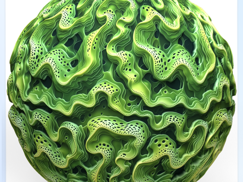 Anatomy Seamless Texture CG 텍스쳐