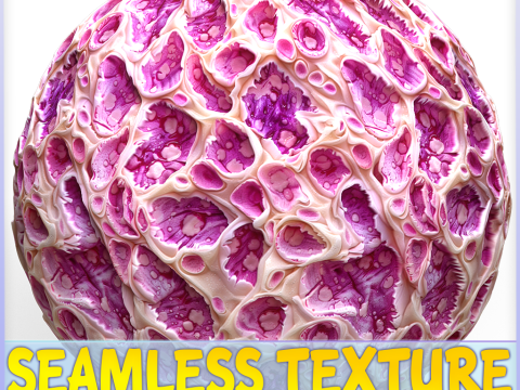 Anatomy Seamless Texture CG Textures