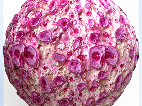 Anatomy Seamless Texture CG 纹理