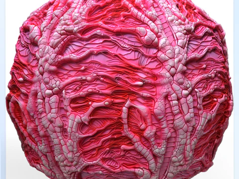 Textura sem costura de anatomia Texturas CG