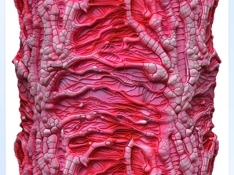 Textura sem costura de anatomia Texturas CG