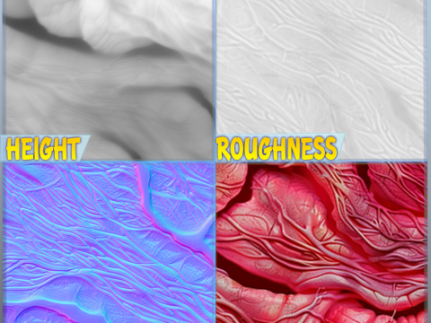 Anatomy Seamless Texture CG Textures