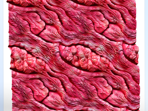 Anatomy Seamless Texture CG Textures