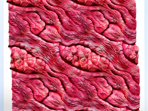 Anatomy Seamless Texture CG Textures