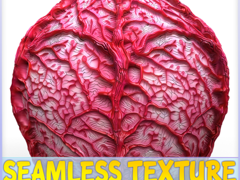 Anatomy Seamless Texture Tekstur CG
