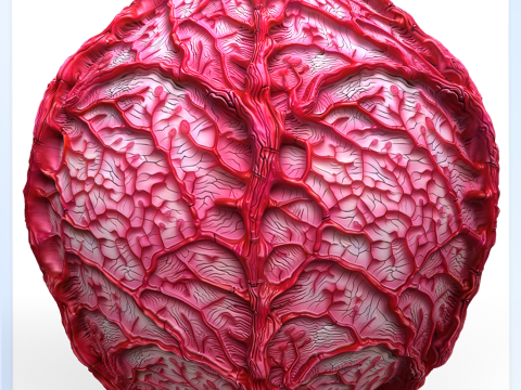 Anatomy Seamless Texture CG Текстури