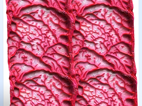 Anatomy Seamless Texture CG Текстури