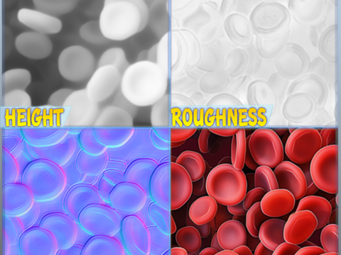 Anatomy Seamless Texture CG Texturen