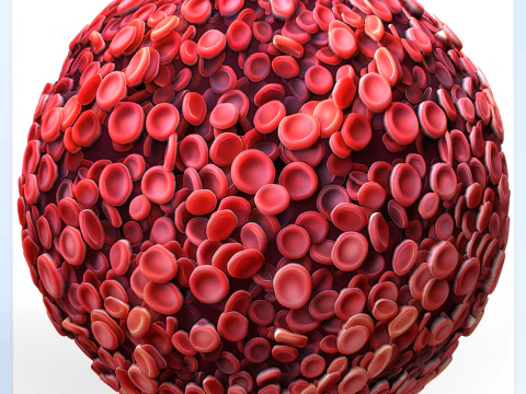 Anatomy Seamless Texture CG Textures