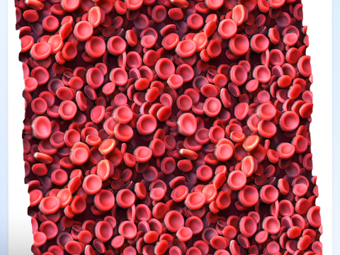 Anatomy Seamless Texture CG Texturen