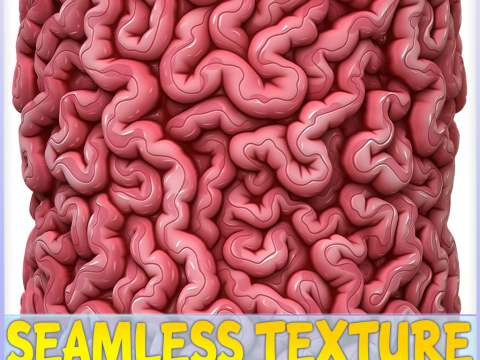 Anatomy Seamless Texture CG Textures