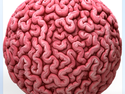 Anatomy Seamless Texture CG 텍스쳐