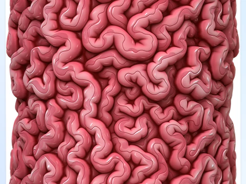 Textura sem costura de anatomia Texturas CG