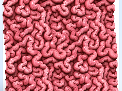 Anatomy Seamless Texture CG 텍스쳐