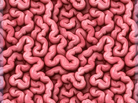 Textura sem costura de anatomia Texturas CG