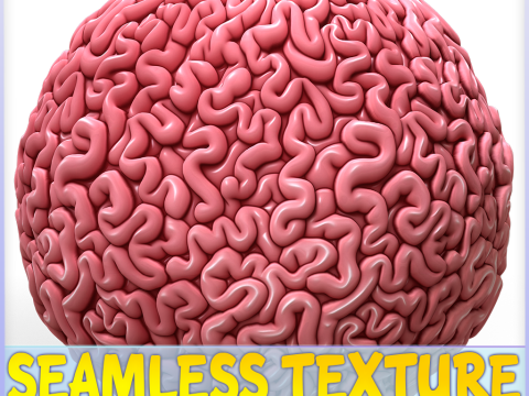 Anatomy Seamless Texture CG Textures