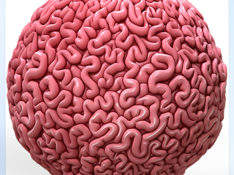 Anatomy Seamless Texture Tekstur CG