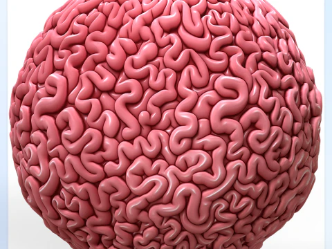 Struttura senza giunte di anatomia CG Textures