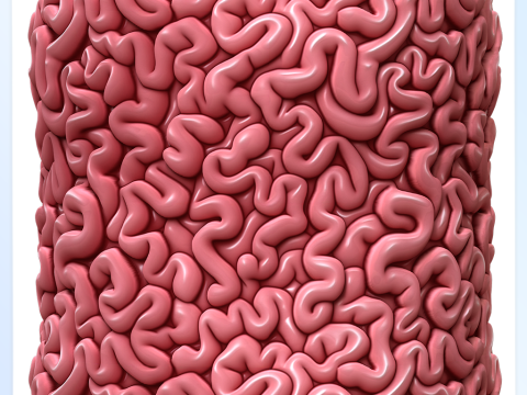 Anatomy Seamless Texture Tekstur CG