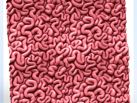 Anatomy Seamless Texture Tekstur CG