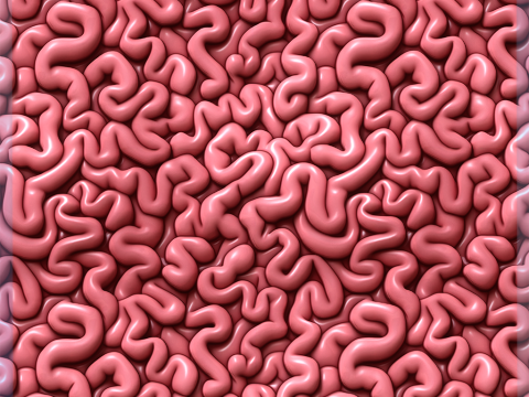 Anatomy Seamless Texture Tekstur CG