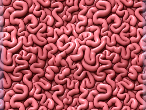 Struttura senza giunte di anatomia CG Textures