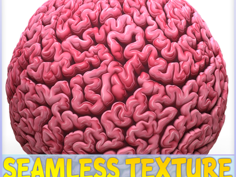 Anatomy Seamless Texture CG 텍스쳐