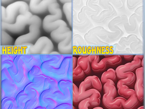 Textura sem costura de anatomia Texturas CG