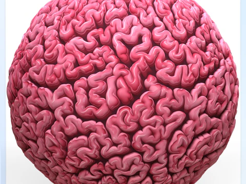 Textura sem costura de anatomia Texturas CG