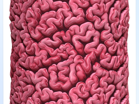Anatomy Seamless Texture CG टेक्स्चर्स