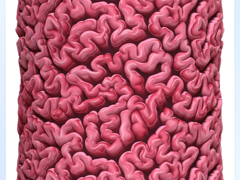 Textura sem costura de anatomia Texturas CG