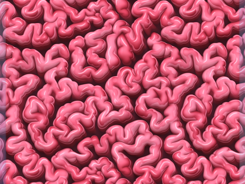 Anatomy Seamless Texture CG टेक्स्चर्स