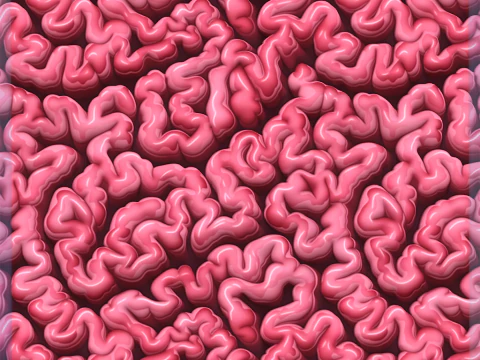 Textura sem costura de anatomia Texturas CG