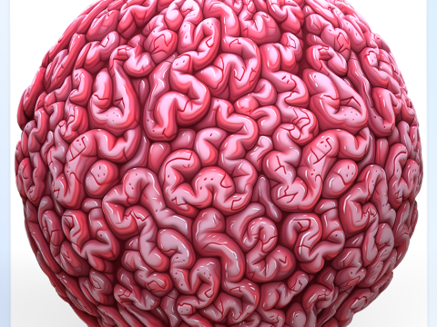 Anatomy Seamless Texture CG Textures