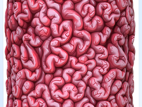 Anatomy Seamless Texture CG Textures