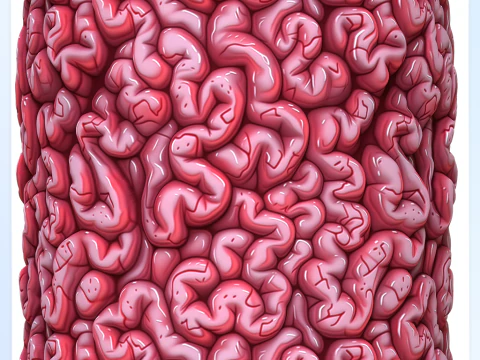Anatomy Seamless Texture CG Textures